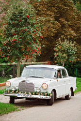 fotografia-slubna-poznan-083