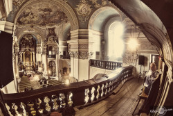 Fotograf ślubny Poznań